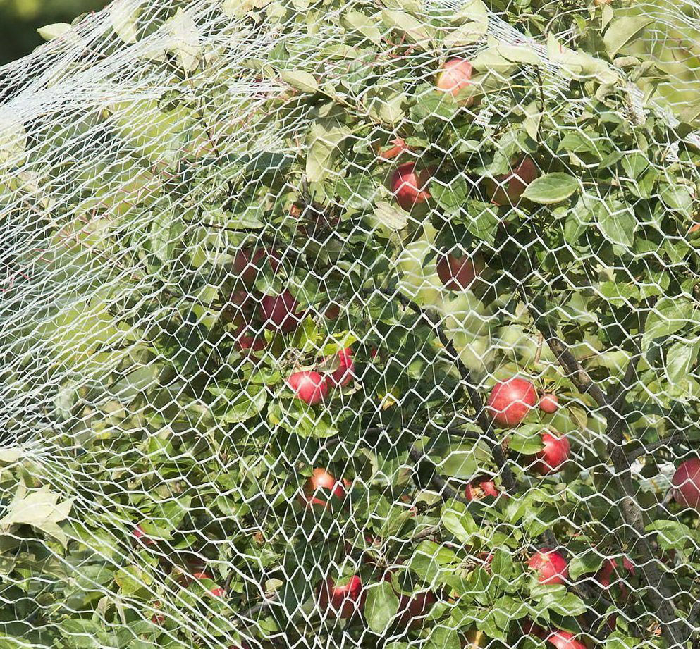 100-Virgin-New-PE-Anti-Bird-Net-for-Balcony-Safety-1